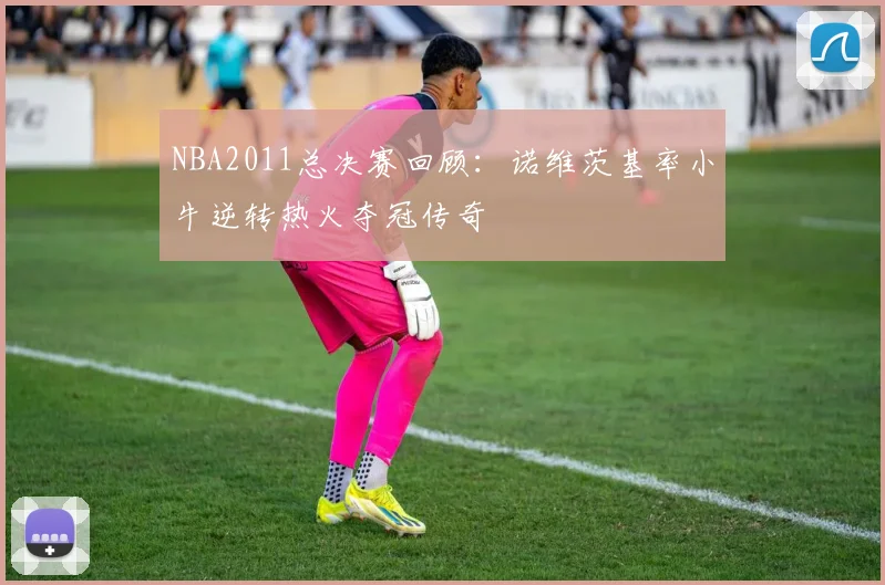 NBA2011总决赛回顾：诺维茨基率小牛逆转热火夺冠传奇