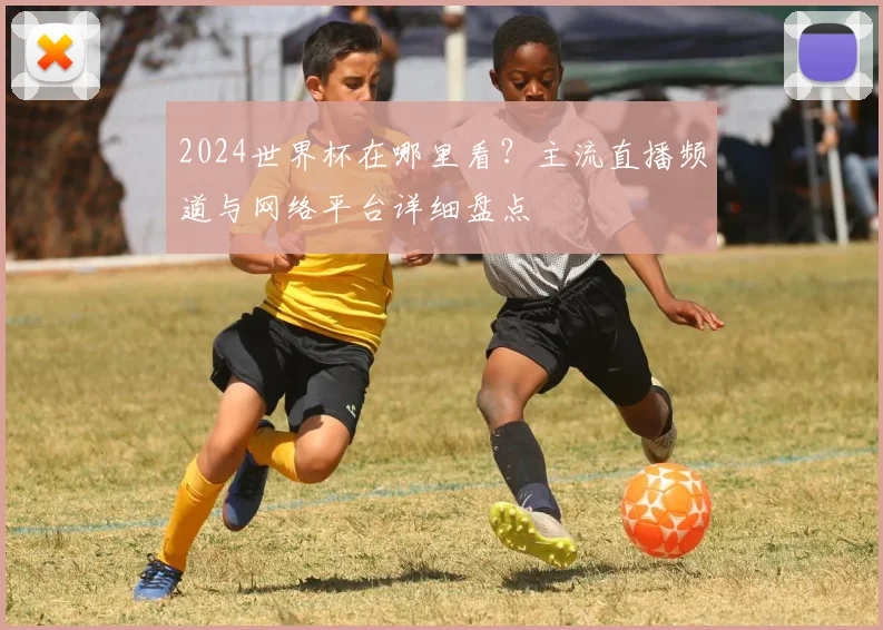 2024世界杯在哪里看？主流直播频道与网络平台详细盘点