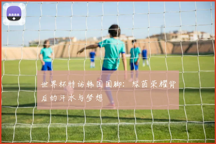世界杯特访韩国国脚：绿茵荣耀背后的汗水与梦想