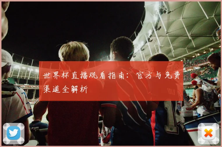 世界杯直播观看指南：官方与免费渠道全解析